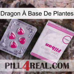 Dragon À Base De Plantes 32